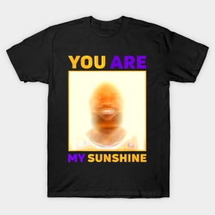 James Meme You Are My Sunshine T-Shirt